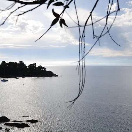Le Grand Pavois Le Lavandou